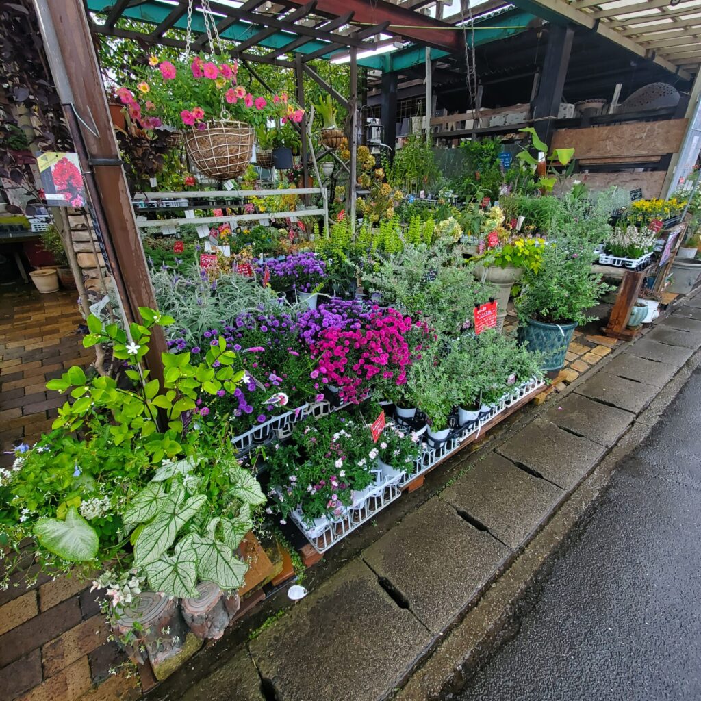 こちらが大洋グリーンさん の外観です。道路に面した店頭にきれいな草花が陳列されており非常にキレイです。