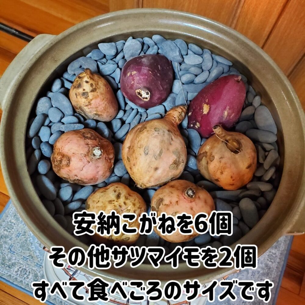 食べごろサイズの安納こがねとその他サツマイモ8個を焼きました。