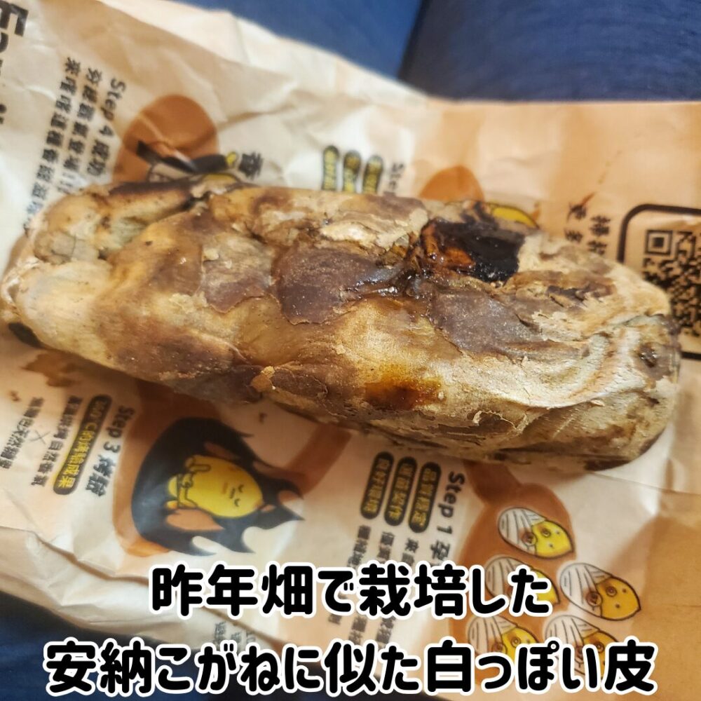 皮は紫色ではなく、白っぽい色です。 しっかりと焼き目がついていて、触った感じで分かるねっとり系です。