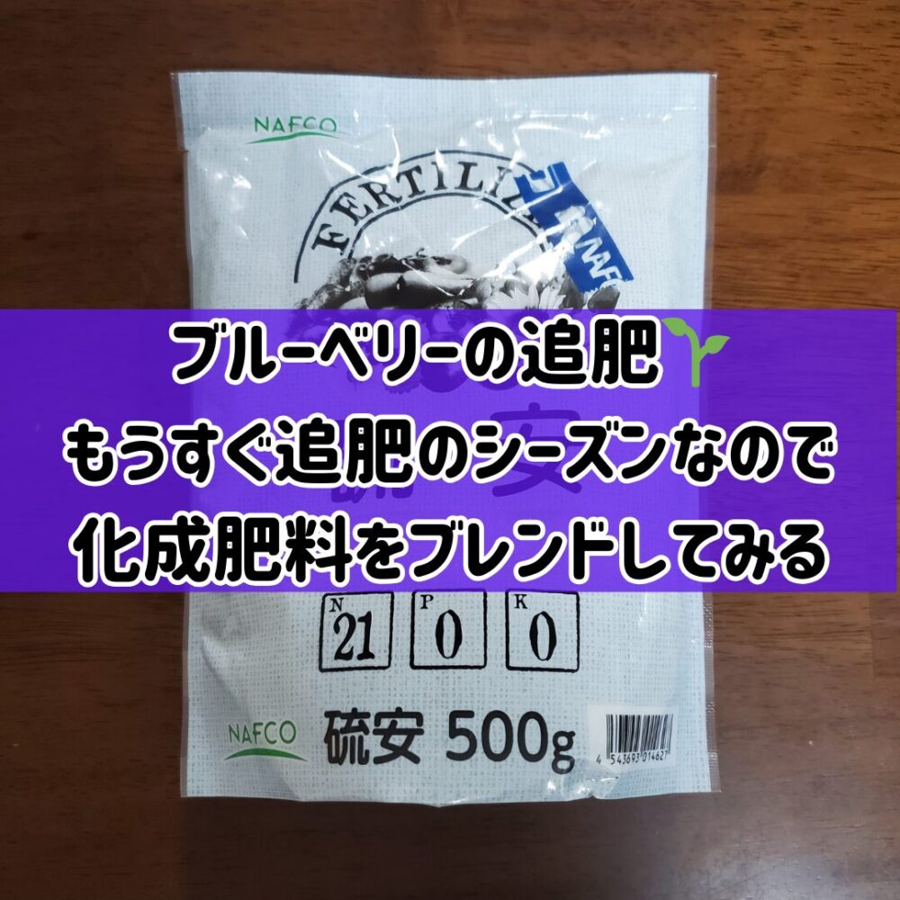 【ブルーベリーの追肥】🌱もうすぐ追肥のシーズンなので化成肥料をブレンドしてみる